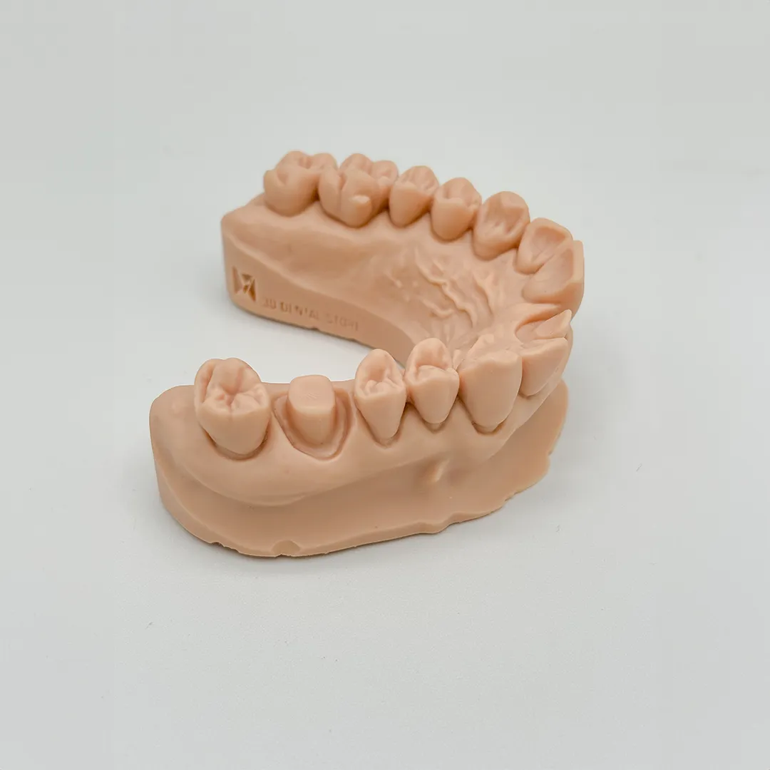 Résine Liqcreate Dental Model Pro beige – Image 4
