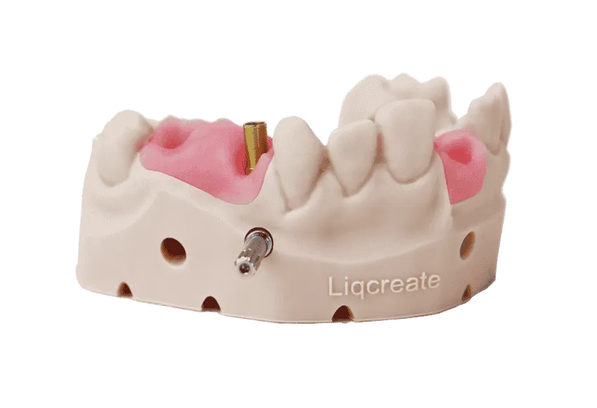 Résine Liqcreate Gingiva Mask – Image 2
