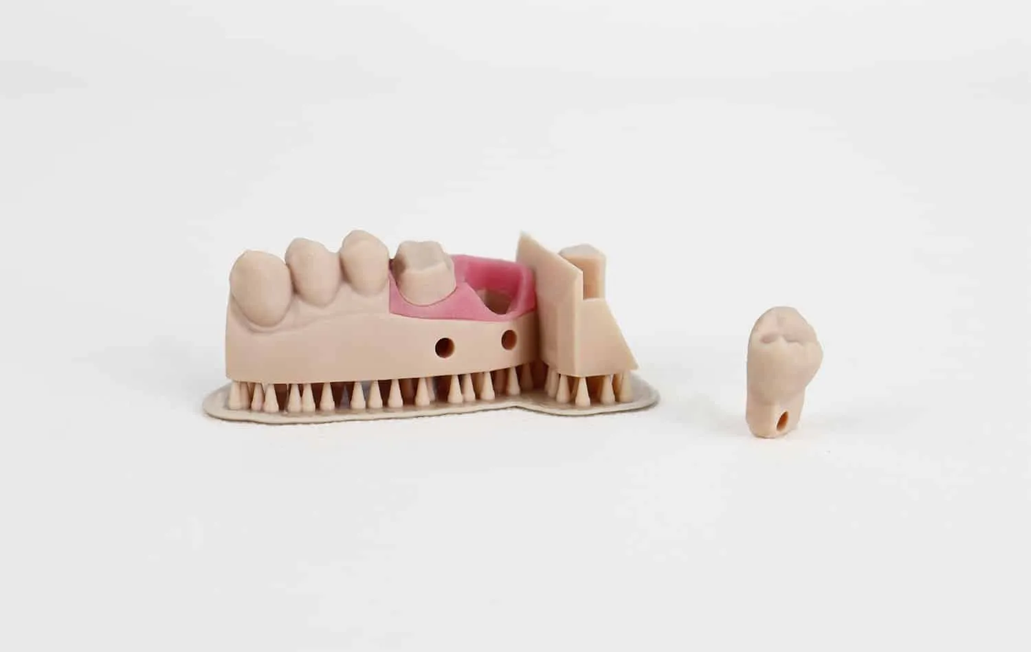 Résine Liqcreate Gingiva Mask – Image 3